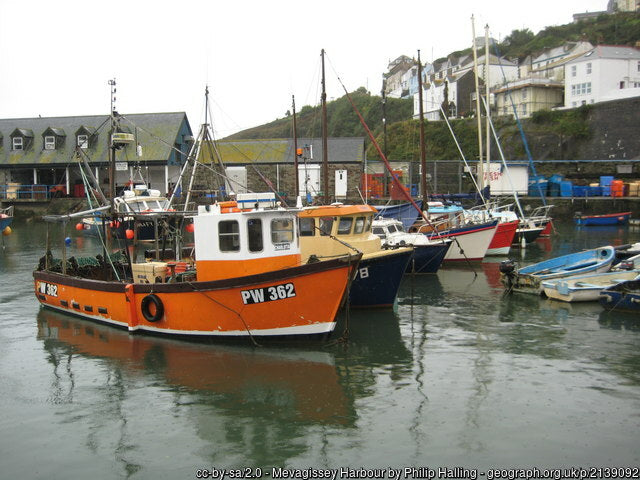 You can catch a fishing trip out of mevagissey harbour