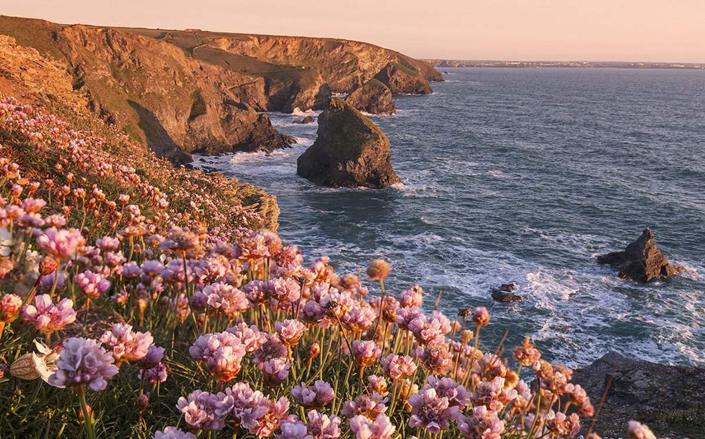 Bedruthan steps captured from the other end of the headland 