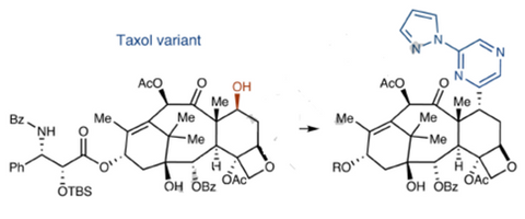 Deoxazole late-stage functionalization of drug example Taxol 