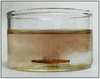 Palladium nanoparticles, pure, (50-70nm) in acetone at 100mg/L (surfactant and reactant-free) | CAS: 7440-05-3