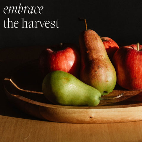 embrace the harvest fall in love with your home this autumn