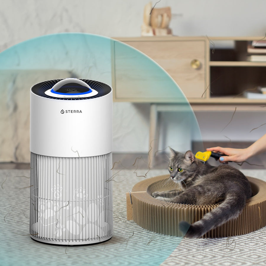 Air purifier in a living room with a person grooming a cat nearby.