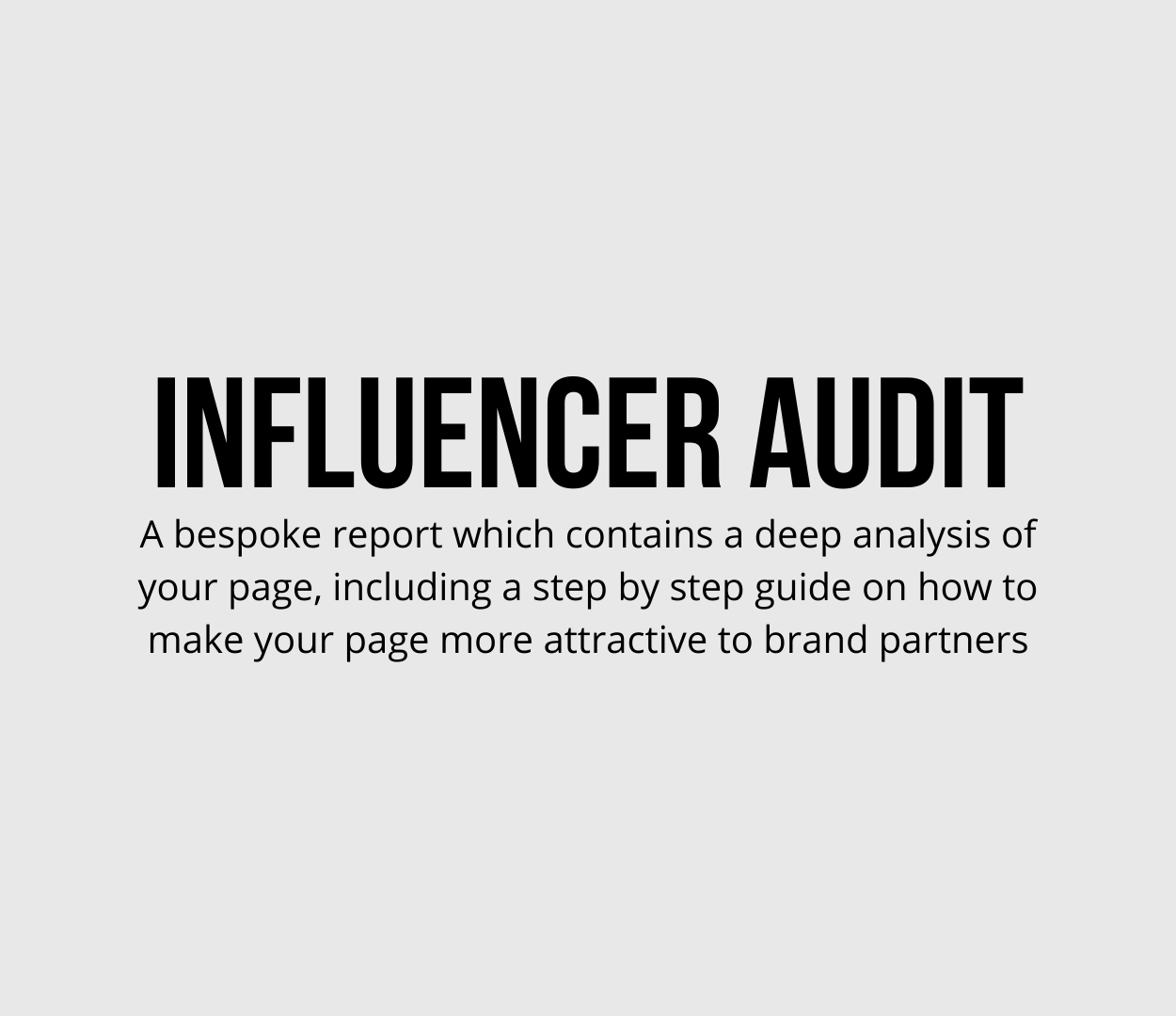 Influencer Audit