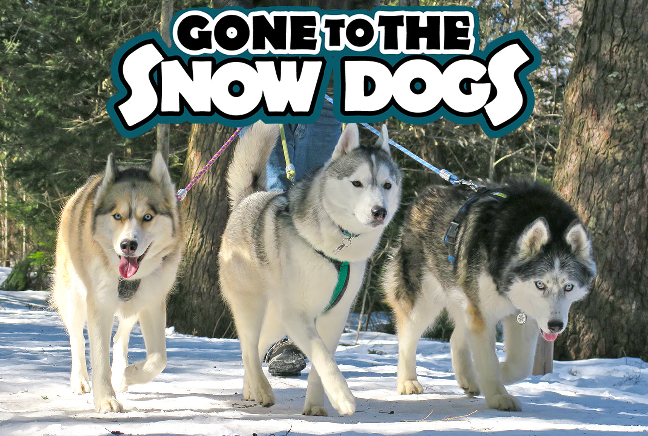 Gone To The Snowdogs DFTBA