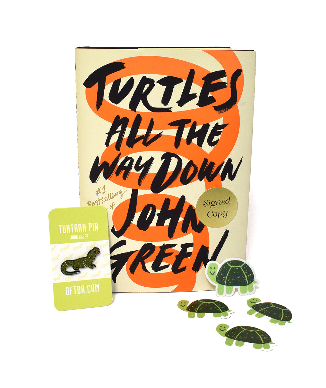 turtles all the way down book summary