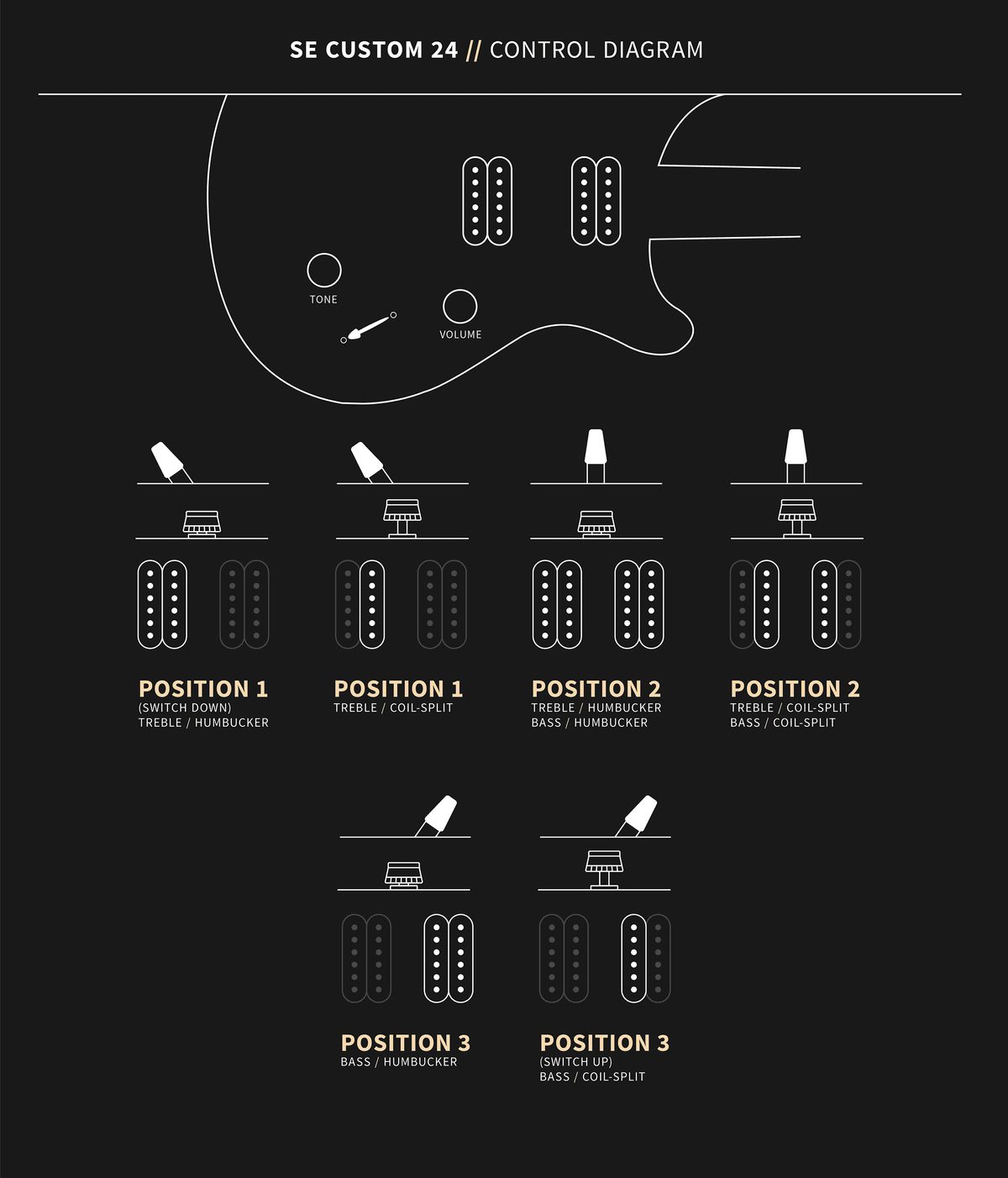 PRS SE Custom 24 Controls