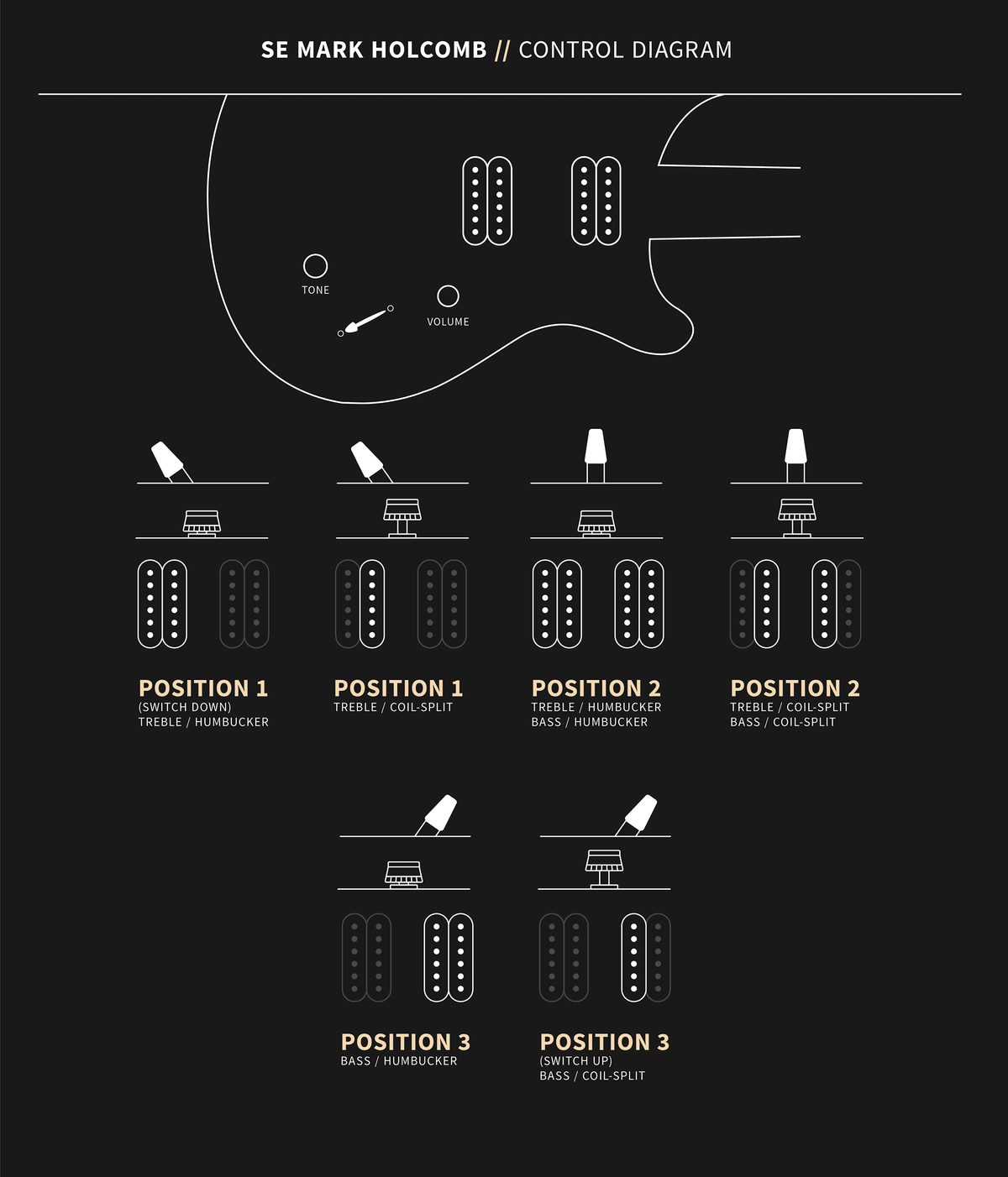 PRS SE Mark Holcomb Controls