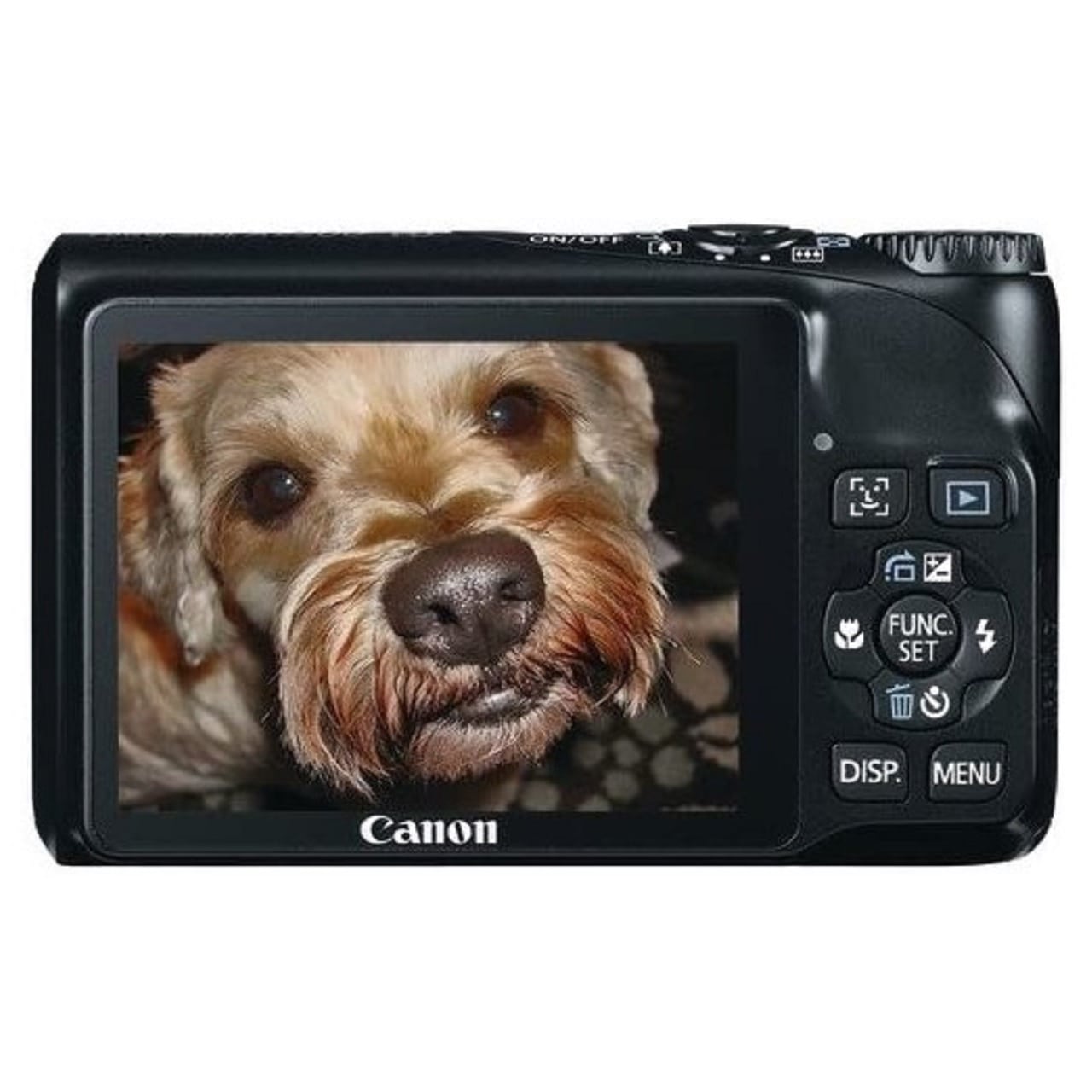 Kan worden genegeerd ingewikkeld Grote hoeveelheid Canon Powershot A2200 14.1 MP Digital Camera with 4x Optical Zoom (Bla –  TekRevolt