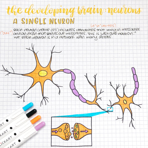 StudyGram Diagram with CLiCKART Retractable Marker Pens