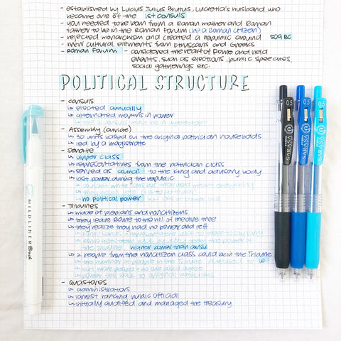 Political Structure study notes drawn with Sarasa Clip and Mildliner Brush Pen