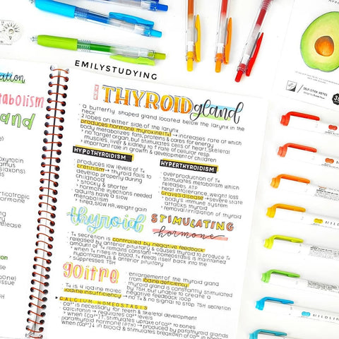 The Ultimate Guide to MILDLINER Highlighters – Zebra Pen