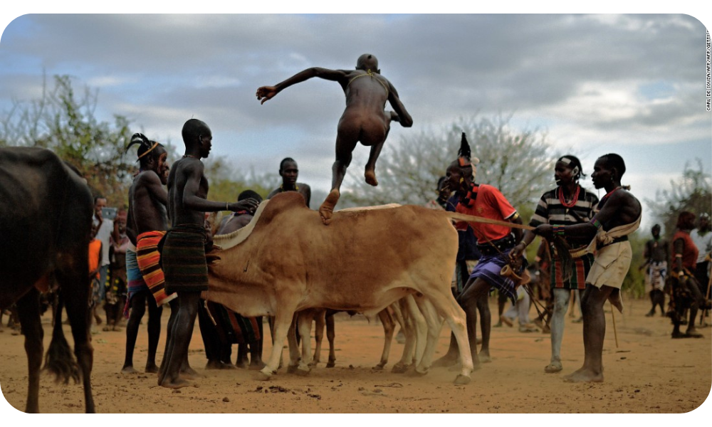 DER Stiersprung unter den Hamar - Königreich Afrika