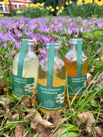 Spring Kombucha Collection