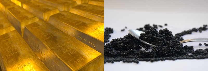 SKINFOOD Gold Caviar Collagen Plus Toner