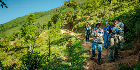Colombia Santa Marta de Sierra Nevada Coffee Farms