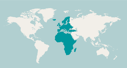 Arduino rest of the world