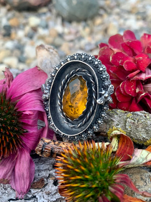 Amber & Bee Sterling Silver Shadow Box Ring - Bella Desiderata