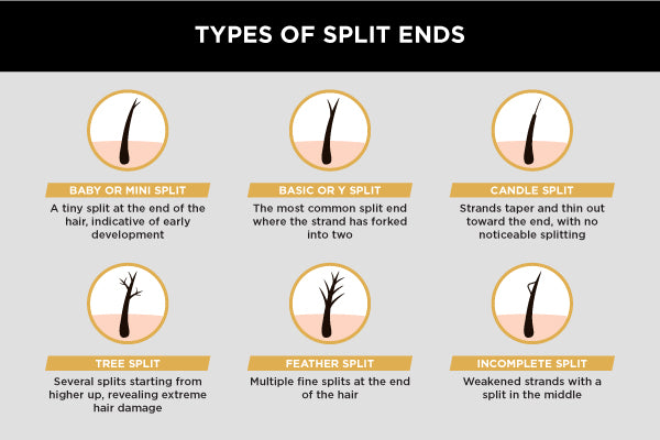 Types of Split Ends