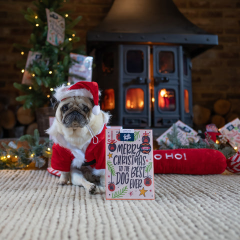 Puggy Smalls posing with Scoff Paper edible Christmas card