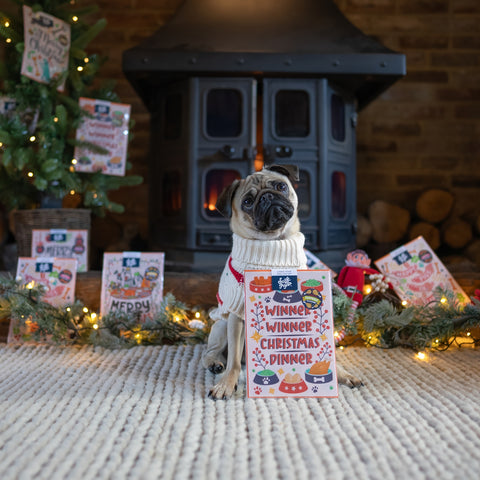 Puggy Smalls pug with Scoff Paper edible cards for dogs