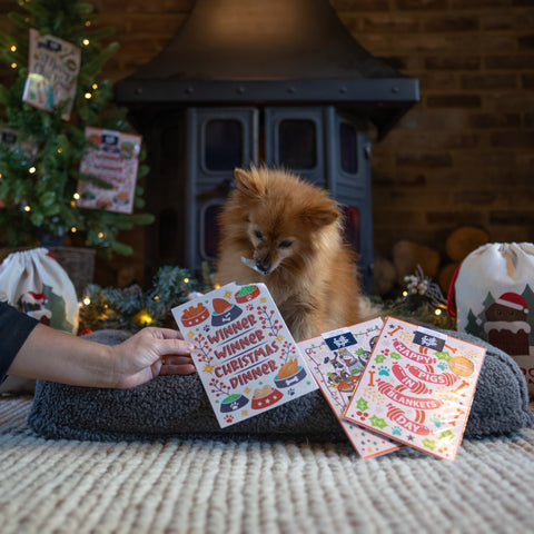Instadoggo - Puggy Smalls eating Scoff Paper edible Christmas cards for dogs