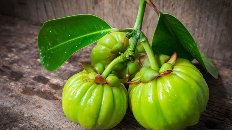 Garcinia Cambogia funciona para ajudá-lo a perder peso e queimar gordura?