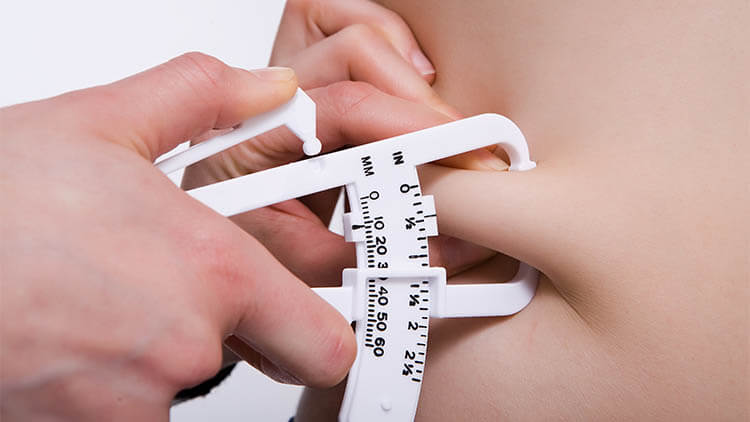 Fat measurement