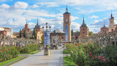 スペイン　マドリード　セルバンテス　ドン・キホーテ　旅行　世界遺産