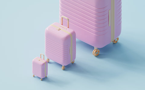 luggage nz