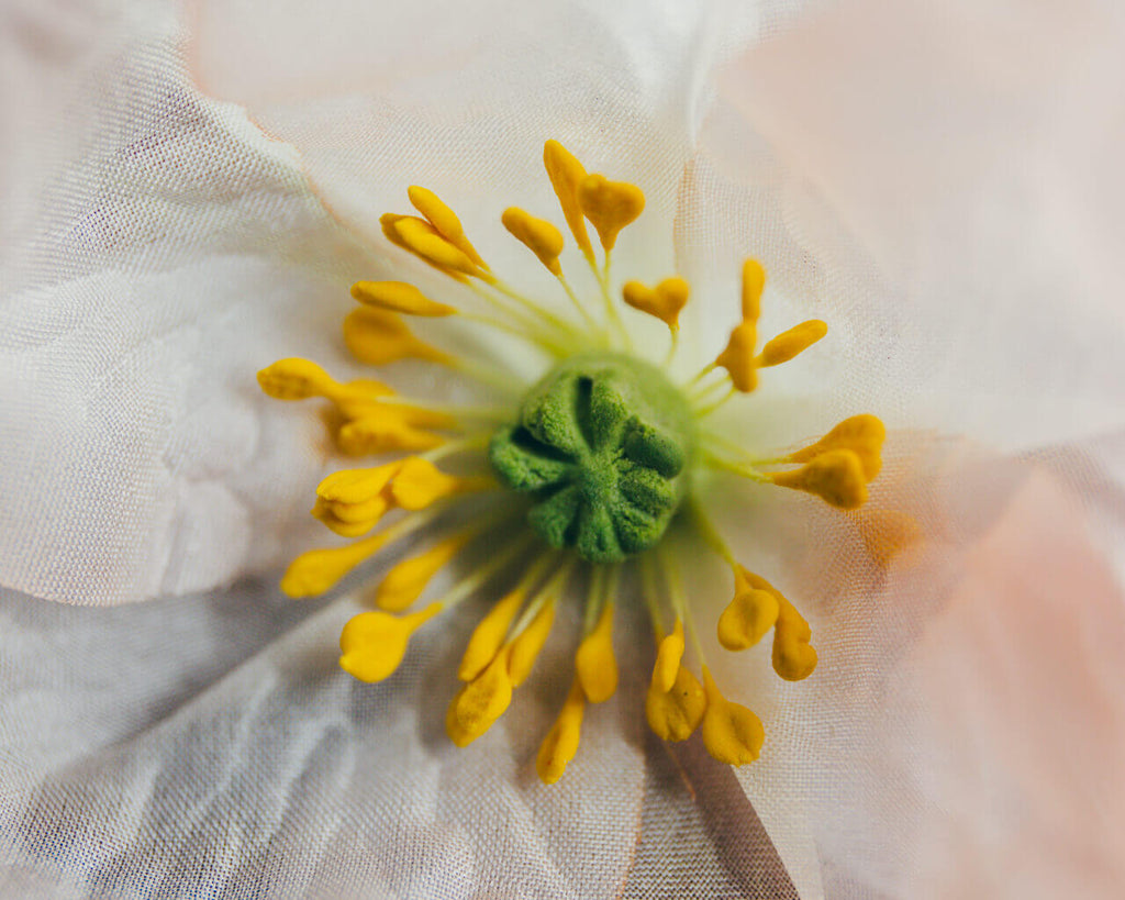 Seiden-Boutonniere (Knopflochblume) als Mohnblume fürs Knopfloch am Revers