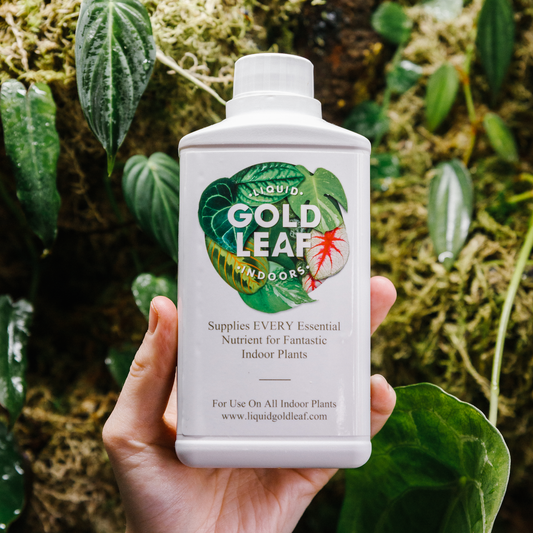 Liquid Gold Leaf: Photo+ 250ml – Soil Ninja