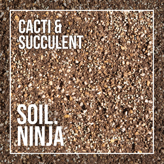 Premium Terrarium Blend – Soil Ninja