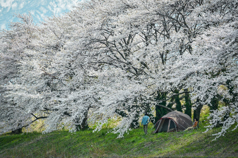 spring camping