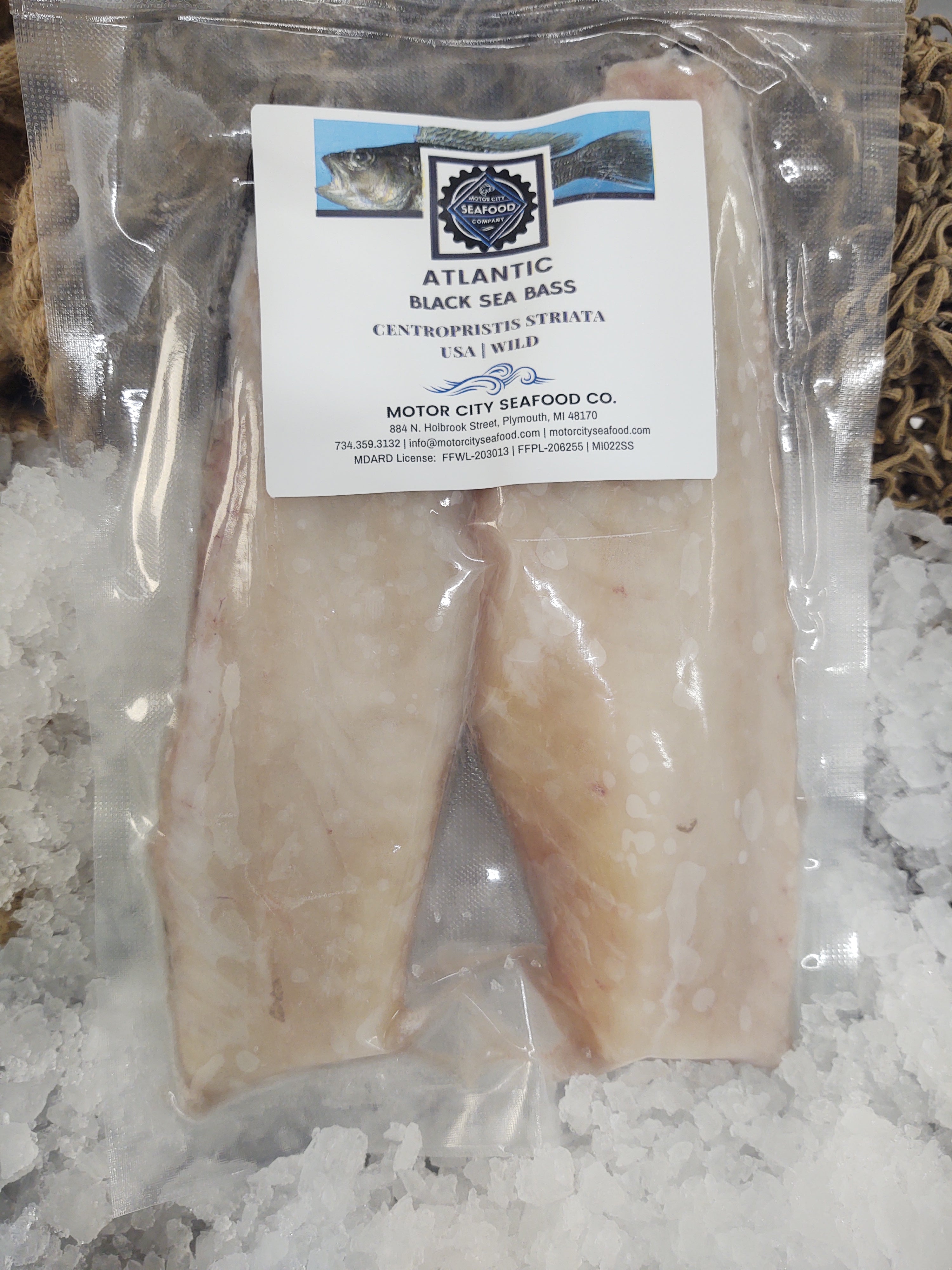 Atlantic Black Sea Bass Quick Frozen 2 X Fillets Motor City Seafood Co