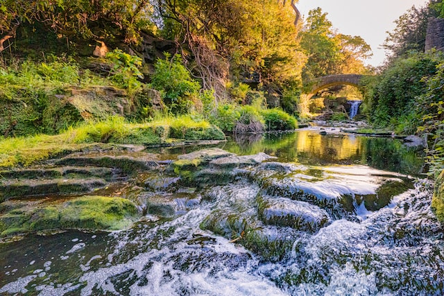 Romantic Dates in Newcastle - Jesmond Dene by Marco Angelo