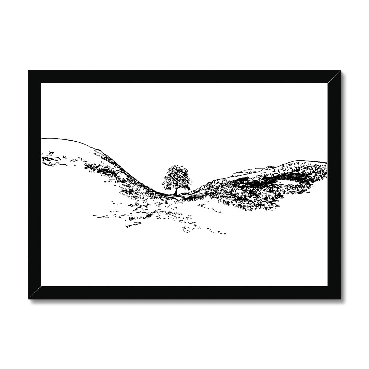 Sycamore Gap themed Gifts - Canvas Print