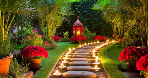 Illuminated Pathway