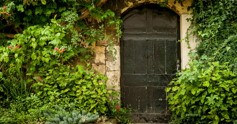 Secret Garden Discovery