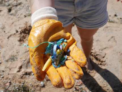 People picking up trash from our beaches