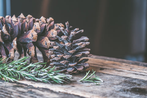 Low-waste Christmas decoration ideas. Pine cone with some rosemary.