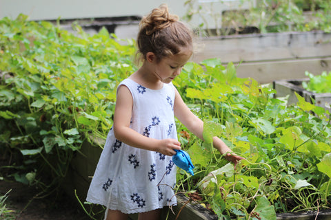 Girl gardening. Implementing family sustainable living.