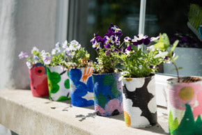 Upcycled tins used as plant pots for sustainable christmas gift idea
