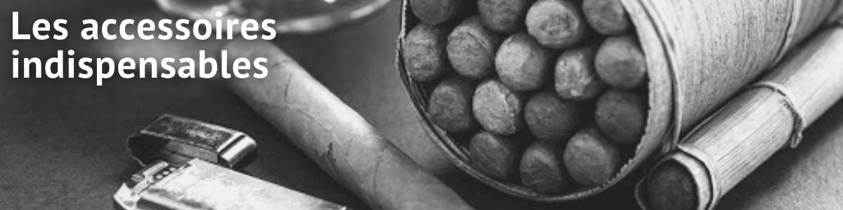 Simulation délicat faux accessoires de cigare fête bal accessoire homme  cubain jouet cigare
