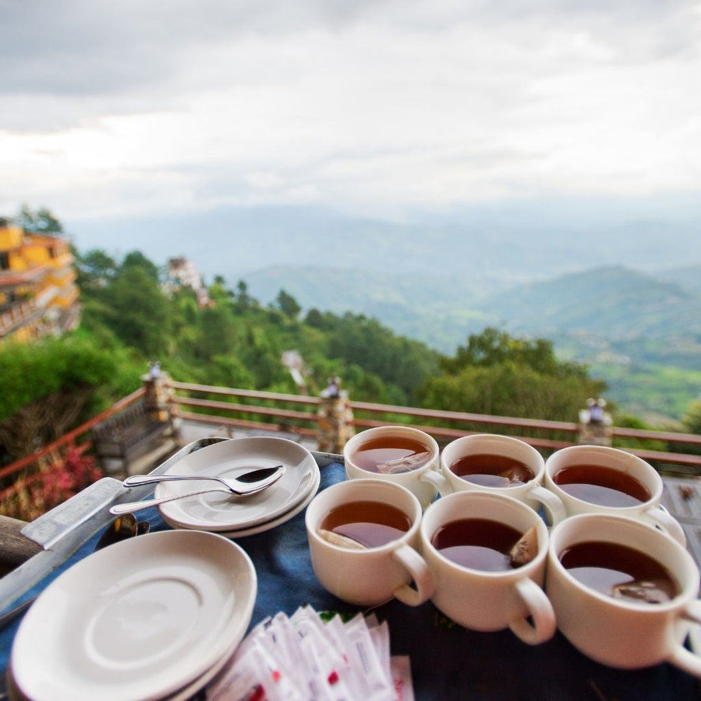 Piantagioni di tè in Nepal