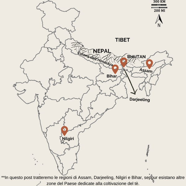 Dove si coltiva il tè in India_mappa