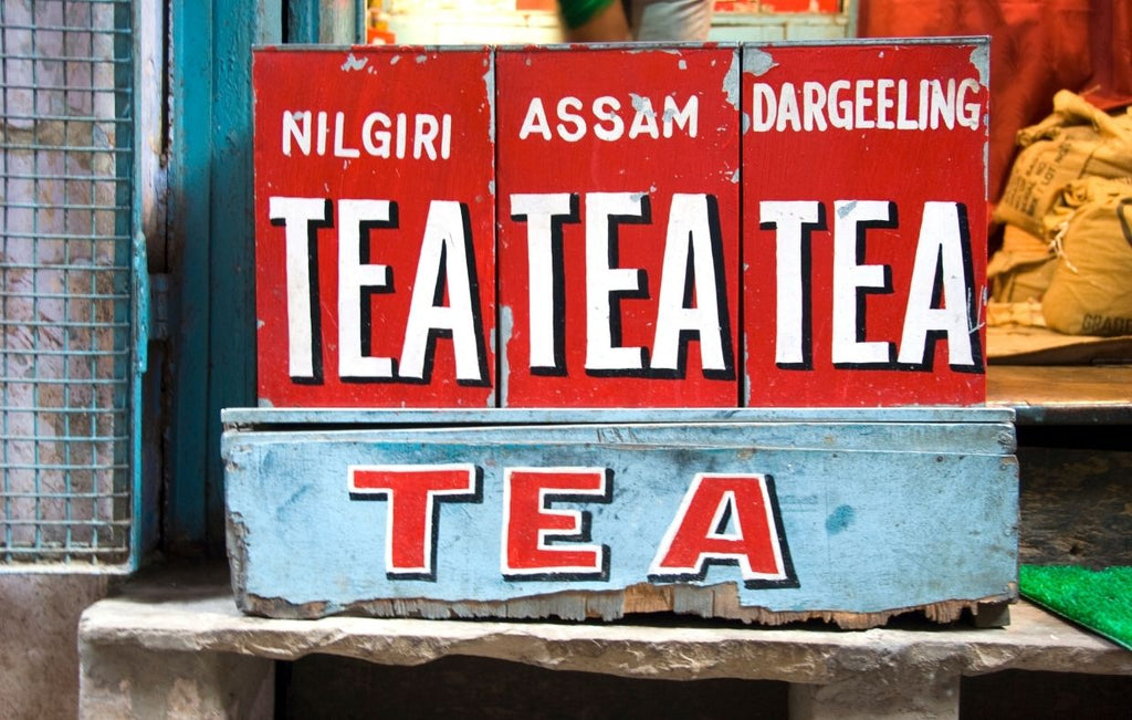 Giardini di tè indiani di Assam e Darjeeling