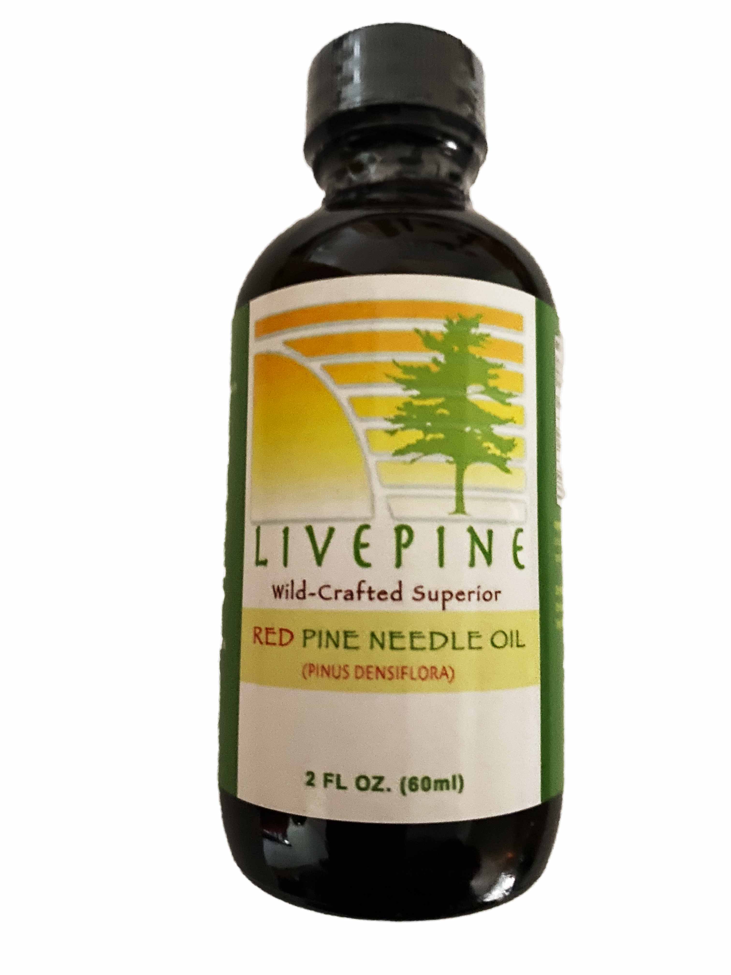 Red Pine Needle Oil 2oz Buy Live Pine Superior Pine Oil Live Pine