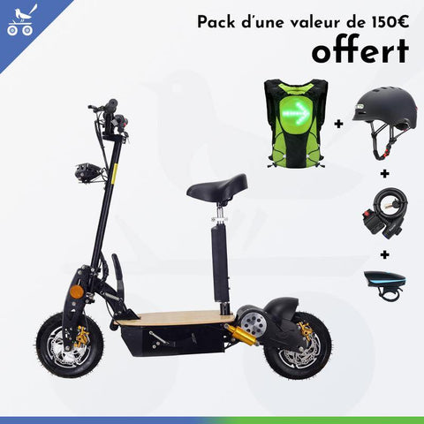 Electric scooter with siege 