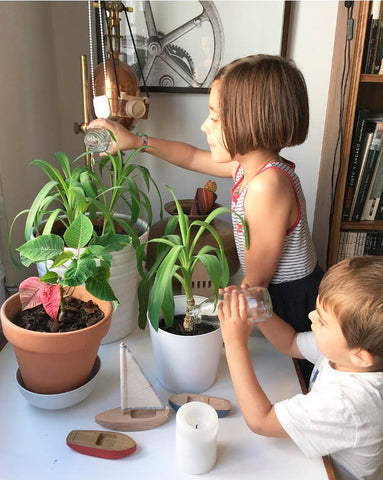 Dos hermanos regando plantas en casa.