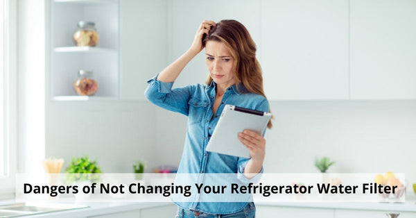 Dangers of Not Changing Your Refrigerator Water Filter